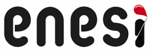 Enesi logo